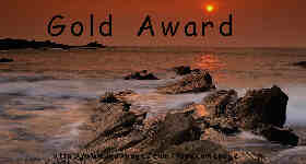 Gold Award